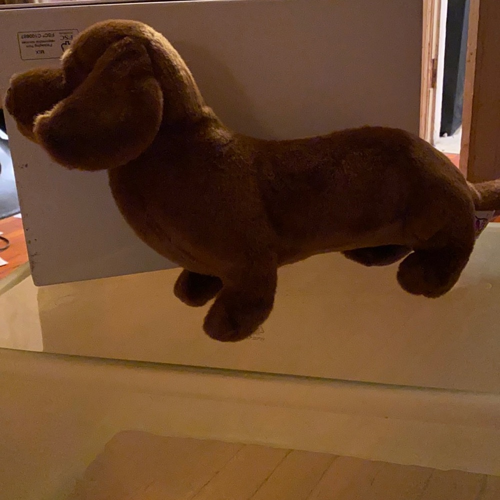 Webkinz Signatures dachshund